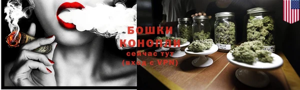 винт Щучье