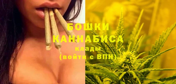 винт Щучье